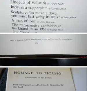 Pablo Picasso - Kunstboek met kleurenlitho en 7 linosnedes kopen? Bied vanaf 125!