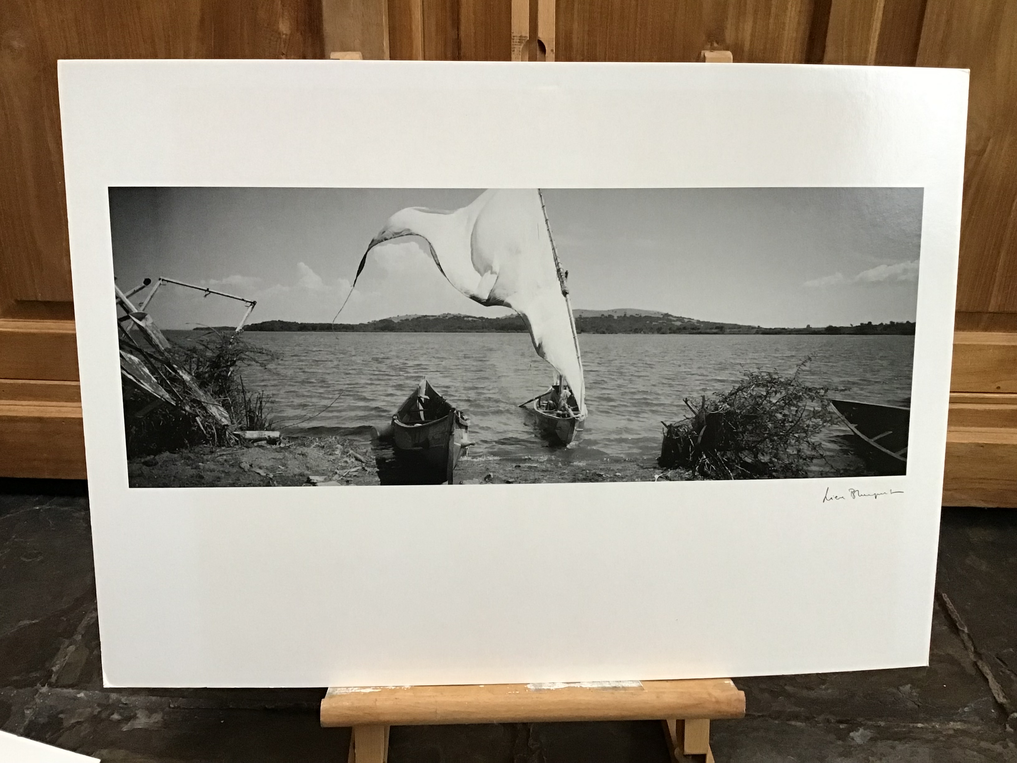 Lieve Blancquaert (1963)