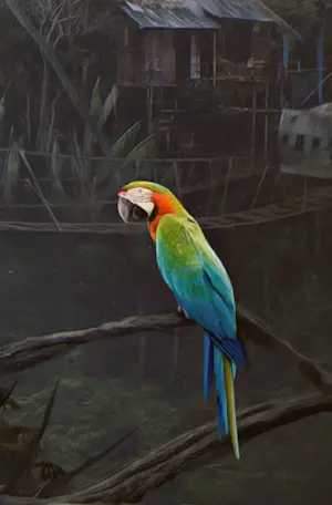 Mr. Strange - Back to Beauteous Islands kopen? Bied vanaf 80!