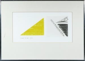 Hannes Postma - Ets, De reis van de zwaluw - Ingelijst kopen? Bied vanaf 1!