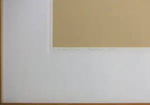 C.A. Wertheim - Zeefdruk op papier, Topsport - Ingelijst (Groot) kopen? Bied vanaf 35!