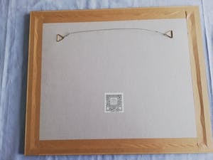 Luk van Soom - Avonturen in de evolutie, 1995 kopen? Bied vanaf 115!