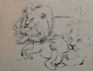 Wim Motz - 4 tekeningen van leeuwen/leeuwinnen kopen? Bied vanaf 45!