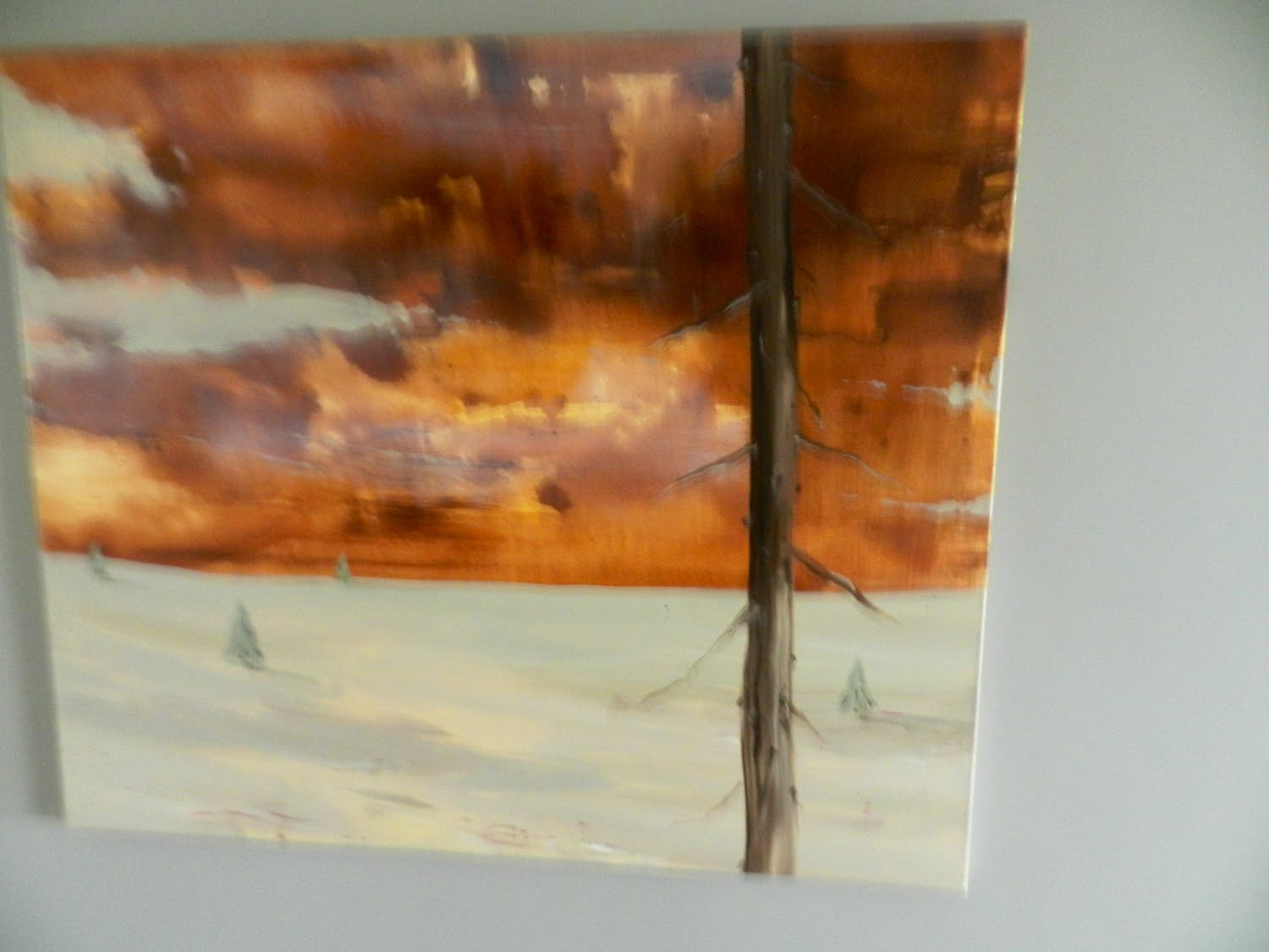 Mathieu van Riel - Desolaat Landschap verkocht voor € 1!