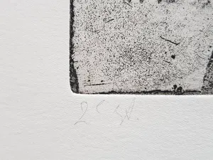 Jan Prins - Prachtige Ets - Gesigneerd in potlood kopen? Bied vanaf 15!