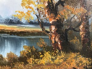 Henner Knauf - Bomen aan de waterkant. kopen? Bied vanaf 1!