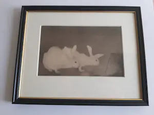 Jan Mankes - Heliogravure " Twee konijnen " kopen? Bied vanaf 120!