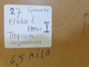 Elska 't Hoen - TROPISCH AQUARIUM / ORIGINEEL WERK / 68x87cm / KADER kopen? Bied vanaf 35!