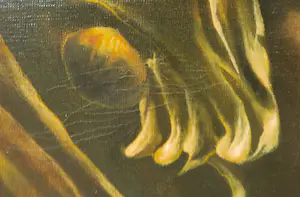 Frans Erkelens - Olieverf op doek, Verdoemd om te bloeien - Ingelijst (Groot) kopen? Bied vanaf 50!