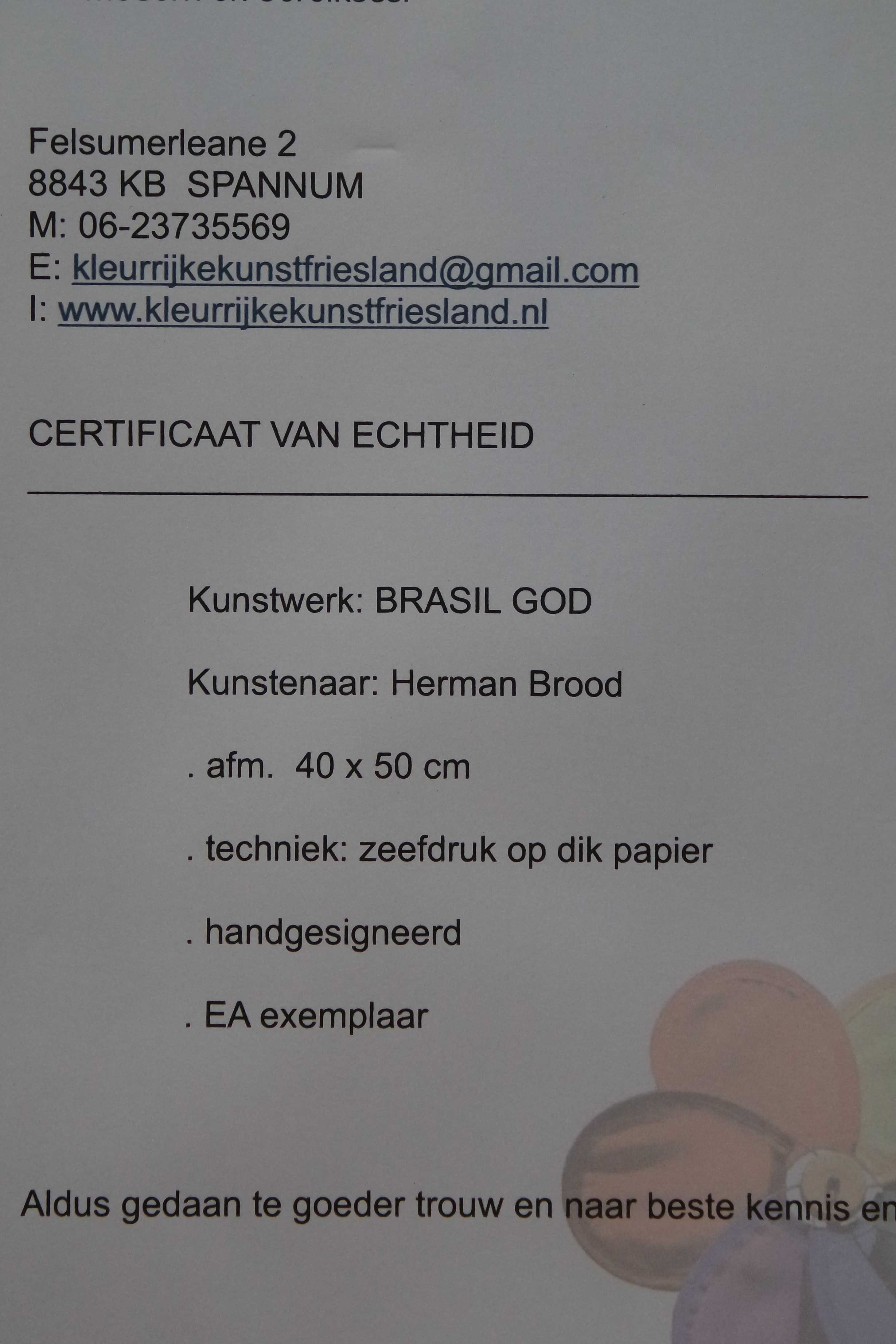Herman Brood - zeefdruk op dik papier - "Brasil God" kopen? Bied vanaf 145!
