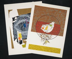 Seong Moy - Twee zeefdrukken, Eye of Vishnu + Bird of Silence kopen? Bied vanaf 40!