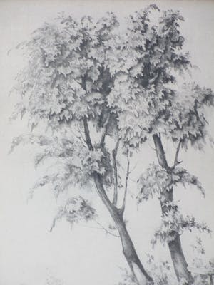 Dirk Kruizinga - Bomen bij gehucht - Ets kopen? Bied vanaf 1!