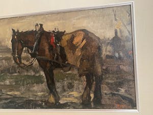 Cor Noltee - “Paard in het veld” kopen? Bied vanaf 800!