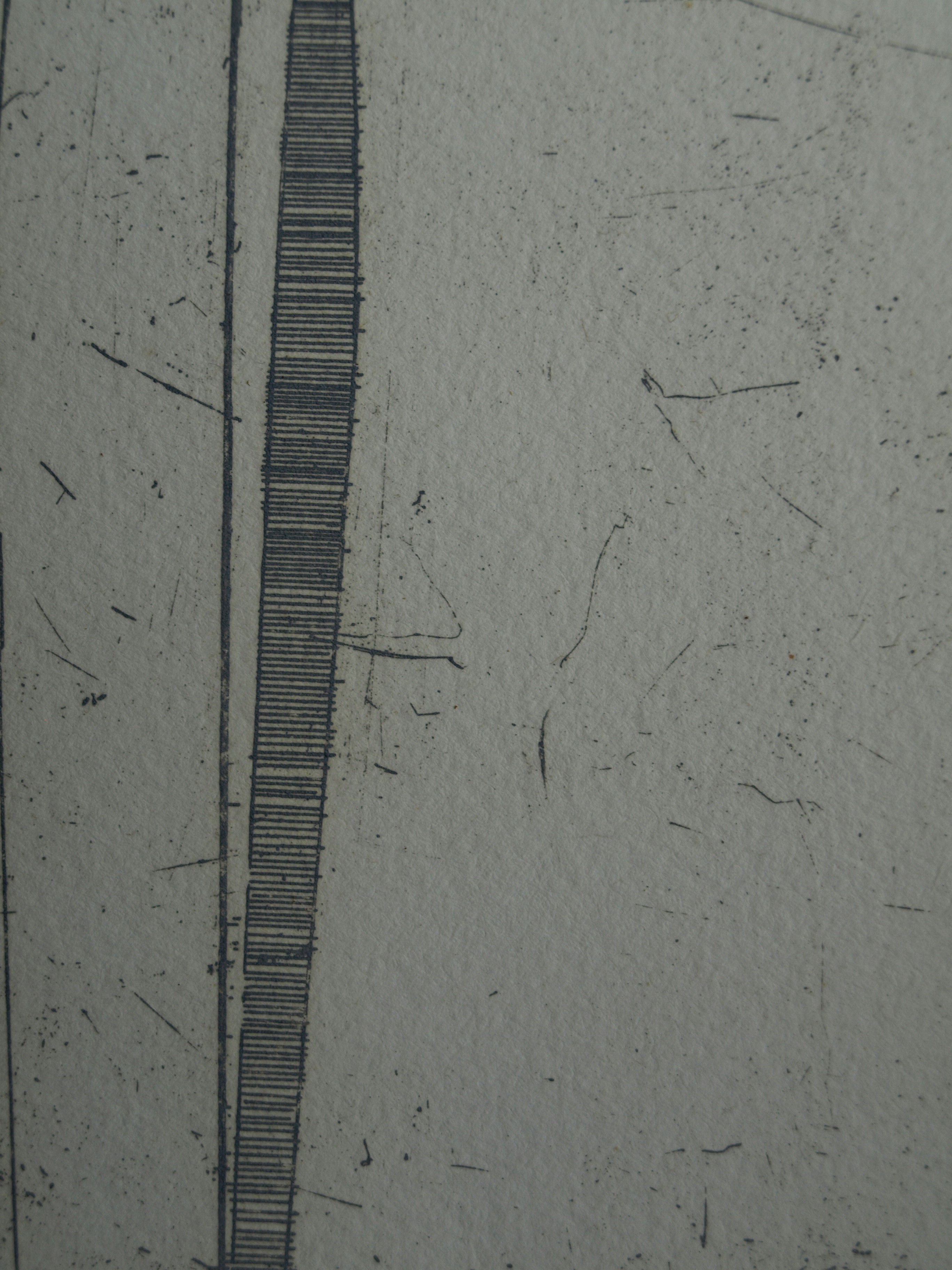 Jan de Hamer - Ets, Palm – gesigneerd – ca 1975 kopen? Bied vanaf 1!