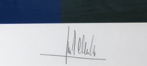 Ton Schulten - Zeefdruk, Door de velden - Ingelijst (Groot) kopen? Bied vanaf 350!