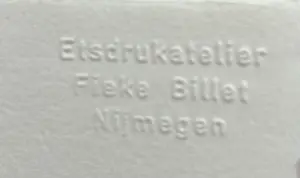 Theo Goedvriend - Door de bomen het bos - vijfzes etsen kopen? Bied vanaf 50!