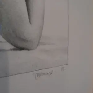 Roger Wittevrongel - ongekend kopen? Bied vanaf 345!