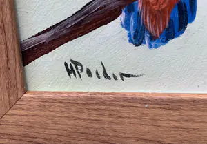 Henk Poeder - Vogel kopen? Bied vanaf 99!