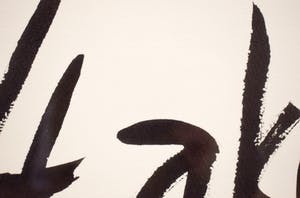 Dick Verdult - Bruce lee hartattack kopen? Bied vanaf 1!