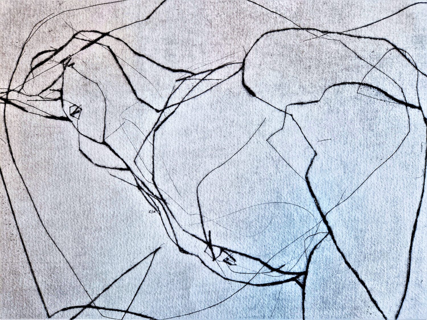 Hans Abbing - Grote en karakteristieke - kleine oplage (3/30) ETS "liggend vrouwelijk naakt" kopen? Bied vanaf 1!