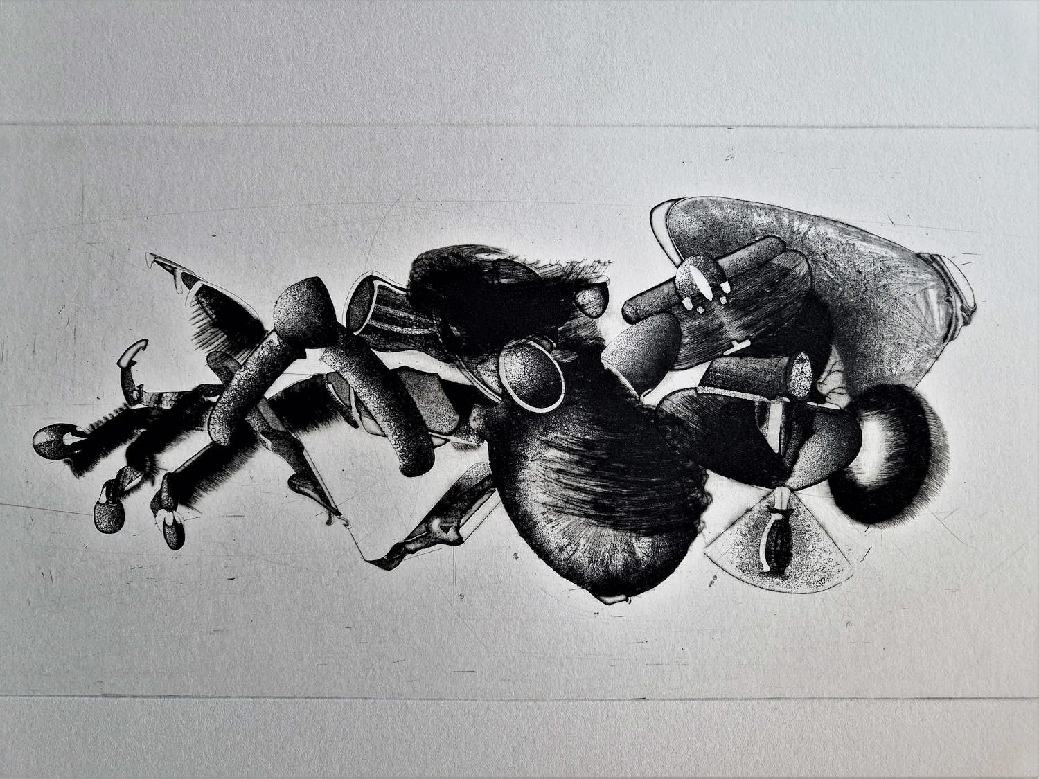 Jan Prins - Fascinerende - kleine oplage (8) - Ets "de onderdelen van een spin" gesigneerd kopen? Bied vanaf 1!