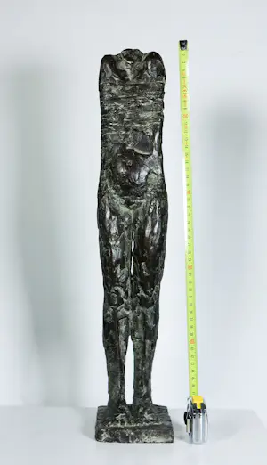 Kiny Copinga - Brons, Ingebonden kopen? Bied vanaf 375!