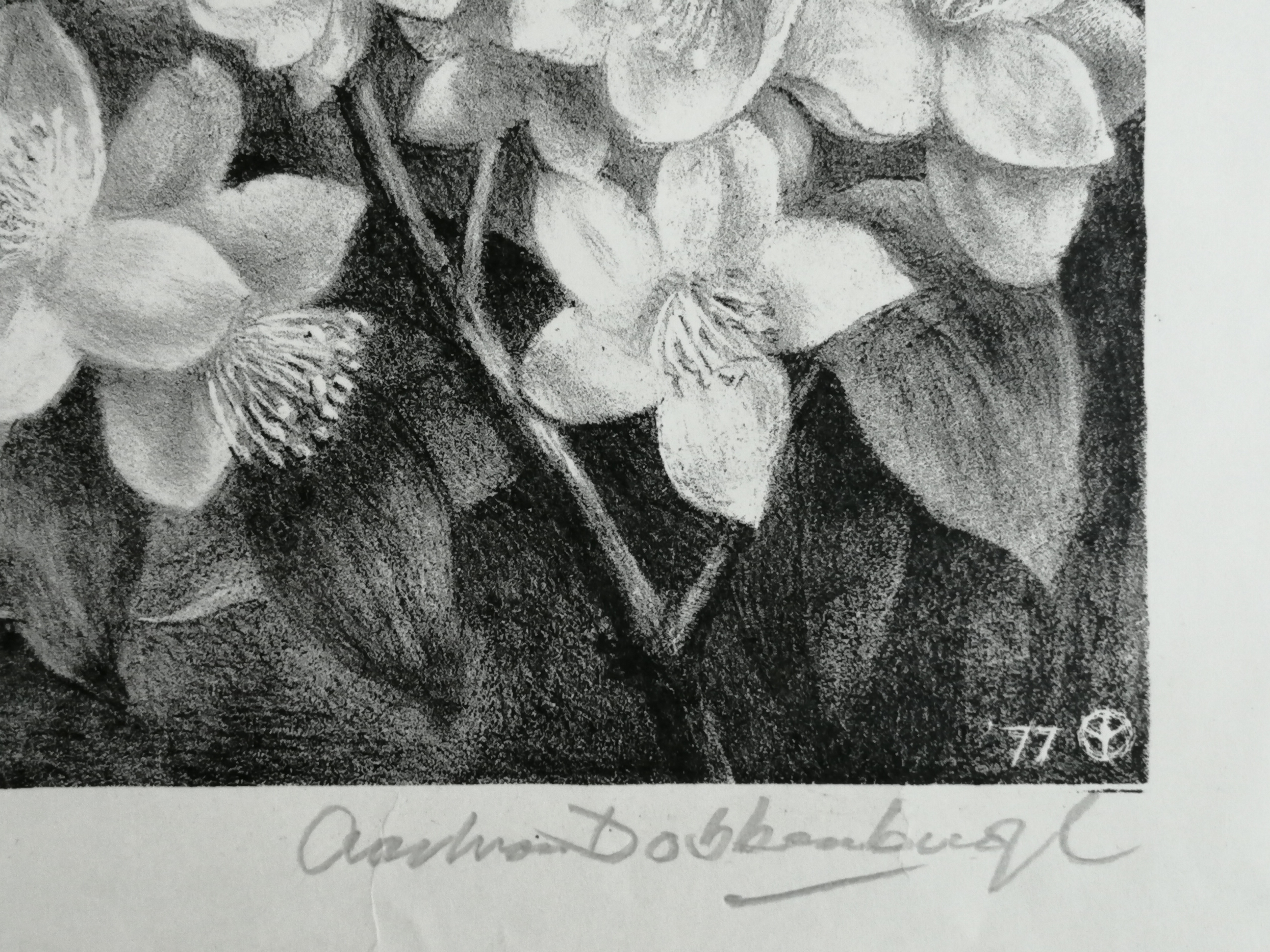 Aart van Dobbenburgh - Tak met bloesem kopen? Bied vanaf 20!