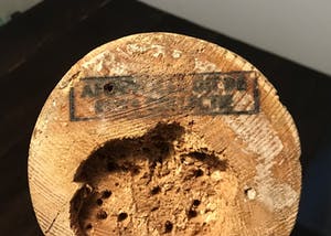 Johan Herman Heesen - Witte Dovenetel kopen? Bied vanaf 69!