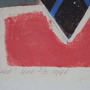 Betty Scheer - Gitaar op geruit kleed kopen? Bied vanaf 25!