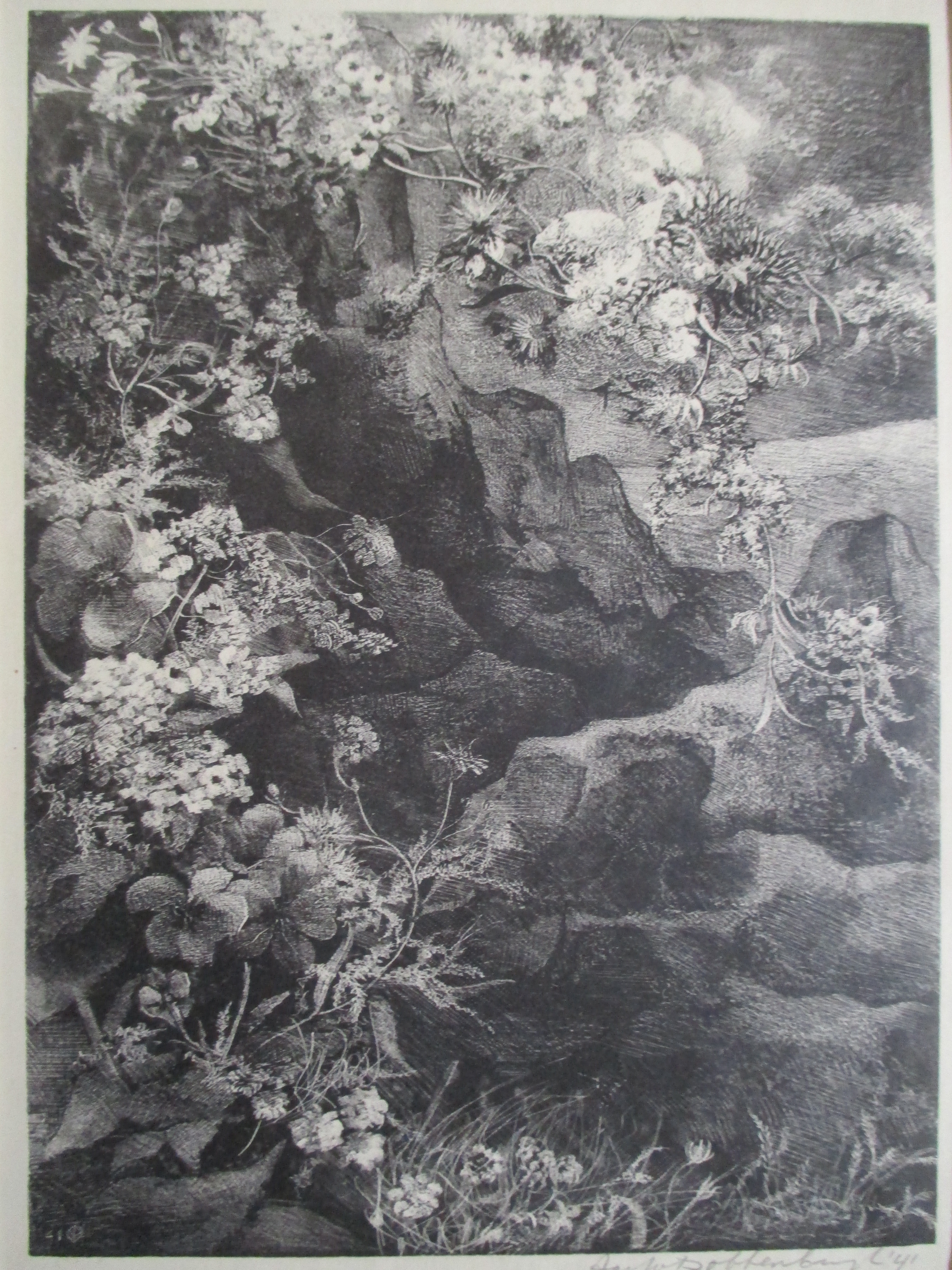 Aart van Dobbenburgh - Litho kopen? Bied vanaf 30!