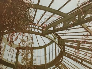 Lucie Meulendijks - "kas". kopen? Bied vanaf 60!