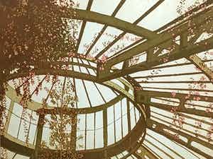 Lucie Meulendijks - "kas". verkocht voor € 60!