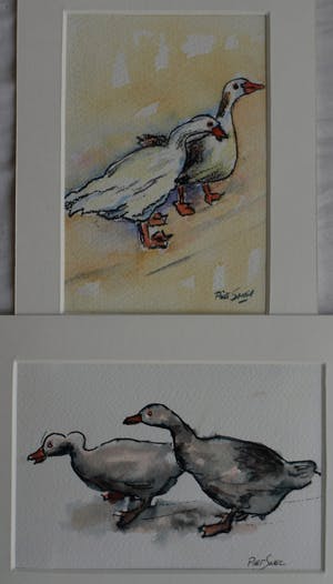 Piet Snel - 2x Aquarel , Ganzen kopen? Bied vanaf 35!