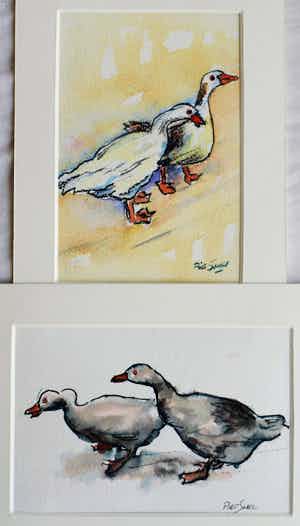 Piet Snel - 2x Aquarel , Ganzen verkocht voor € 35!