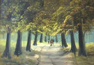 Jan Kelderman - C4780-1, Bosgezicht Ganderen verkocht voor € 45!