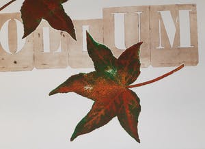 Els Maasson - Folium kopen? Bied vanaf 20!