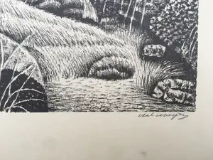 Sal Meijer - Litho "Waterval bij Zurich" kopen? Bied vanaf 60!