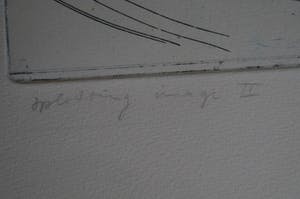 Hans Vredegoor - Splitting Image II kopen? Bied vanaf 5!