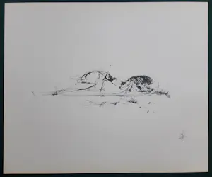 Melle Oldeboerrigter - Portfolio met 14 litho's kopen? Bied vanaf 100!