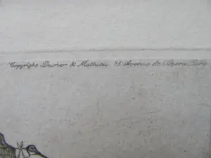 Arthur Boris O'Klein - invalide jachtdieren kopen? Bied vanaf 75!