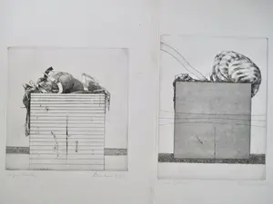 Niet of onleesbaar gesigneerd - 11 etsen div. kunstenaars oa Lehmann Cabell Harris Kirchgaesser kopen? Bied vanaf 1!