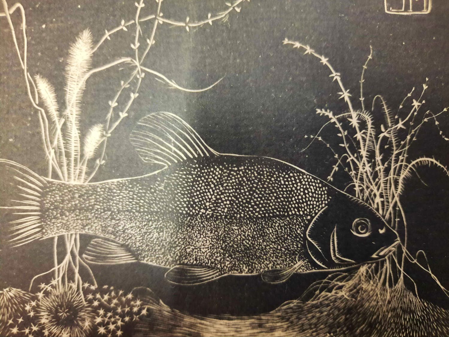 Jan Mankes - Zeelt kopen? Bied vanaf 1!