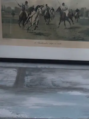 George Wright - Polo Paarden A Question of Pace kopen? Bied vanaf 90!