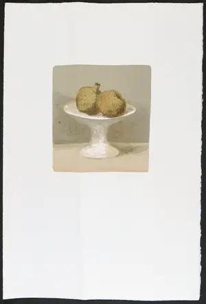 Mart Kempers - Lot van twee litho's, Granaatappels & Kastanjes kopen? Bied vanaf 1!