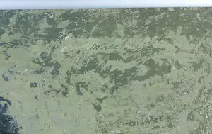 Jan Miechels - Olieverf op doek, Portret van jonge vrouw met kralenketting (1950) - Ingelijst kopen? Bied vanaf 1!