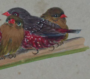 Niet of onleesbaar gesigneerd - Ingelijst, Gouache , 6 Vogeltjes op een tak - Oud kopen? Bied vanaf 1!