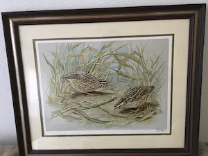 Buy Basil Ede - Quails in a summerfield? Bid from 10!