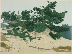 Sees Vlag - Zeefdruk, Kootwijkerzand kopen? Bied vanaf 40!