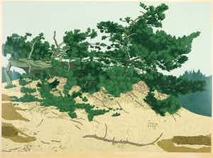 Sees Vlag - Zeefdruk, Kootwijkerzand verkocht voor € 40!