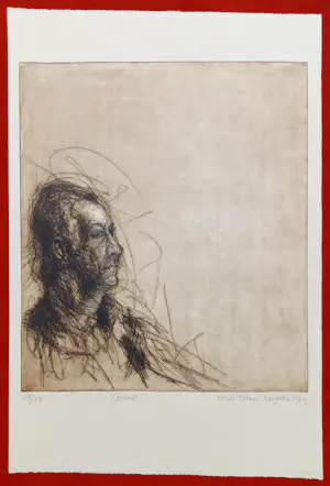 Ronald Tolman - Constant, ets (groot) kopen? Bied vanaf 195!